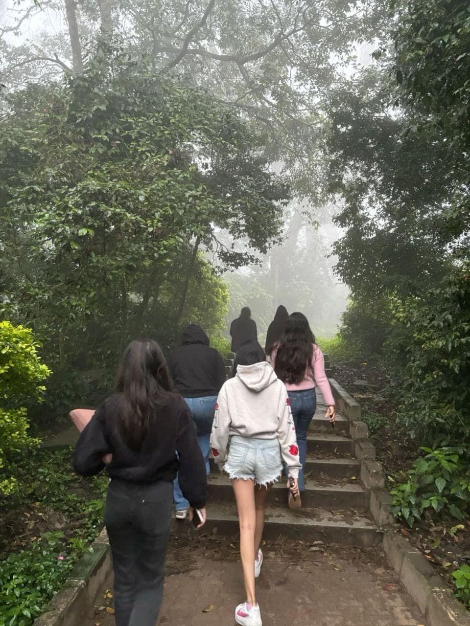 The group climbing stone steps into a misty forest